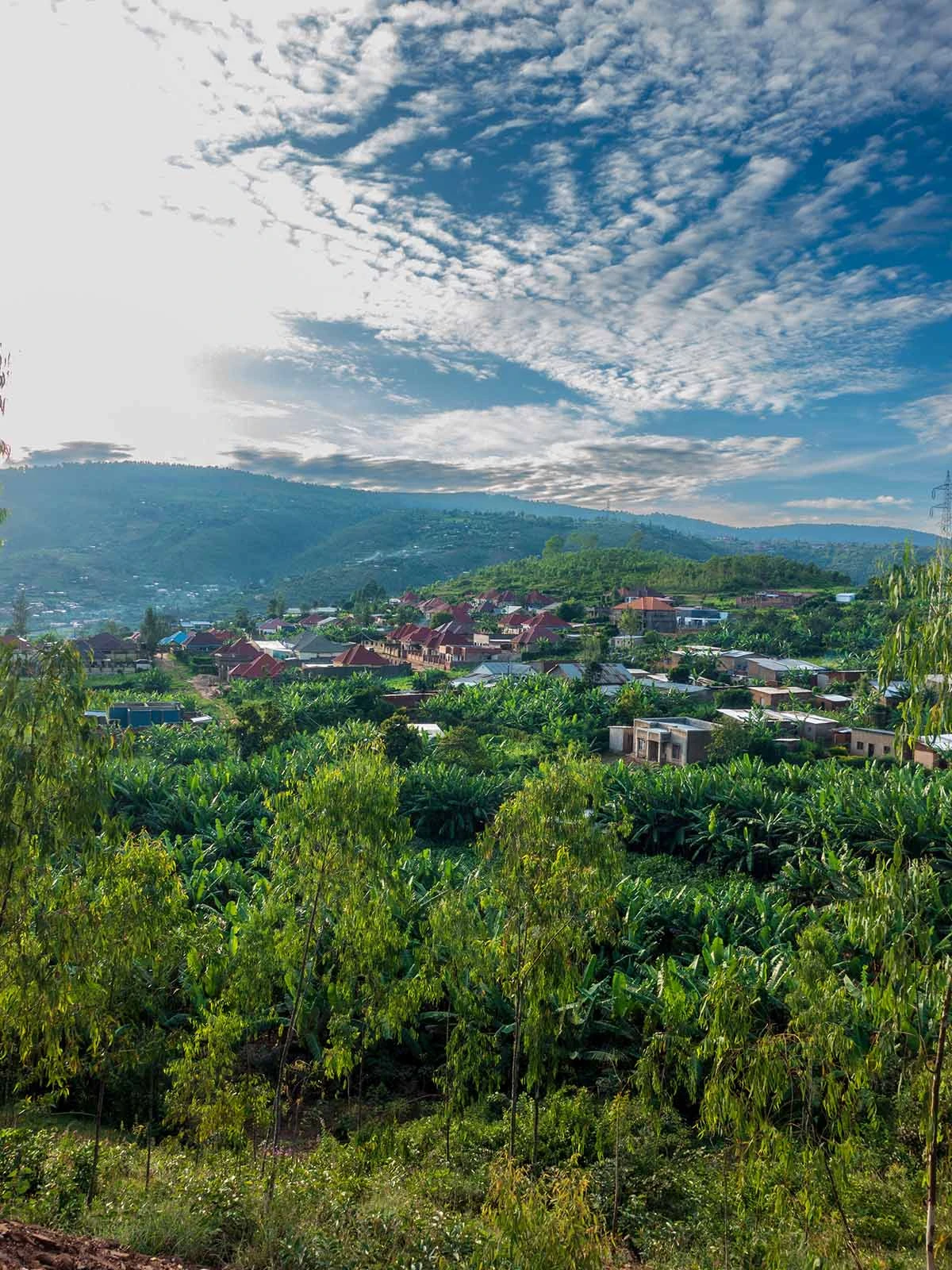 rwanda landscape