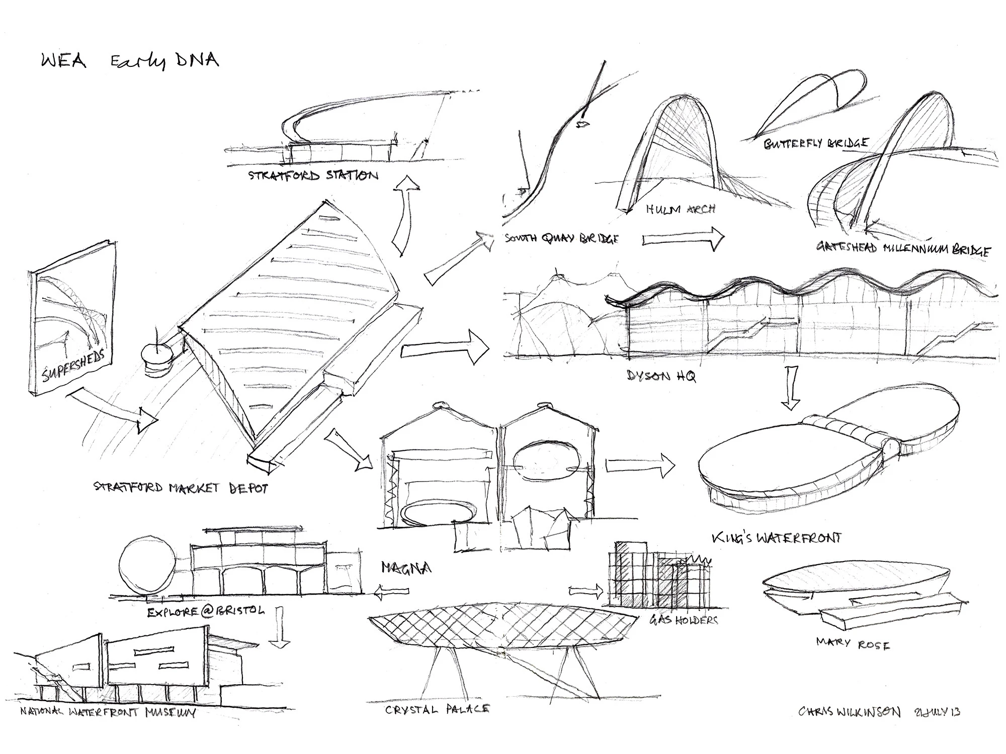 wilkinsoneyre early dna sketch