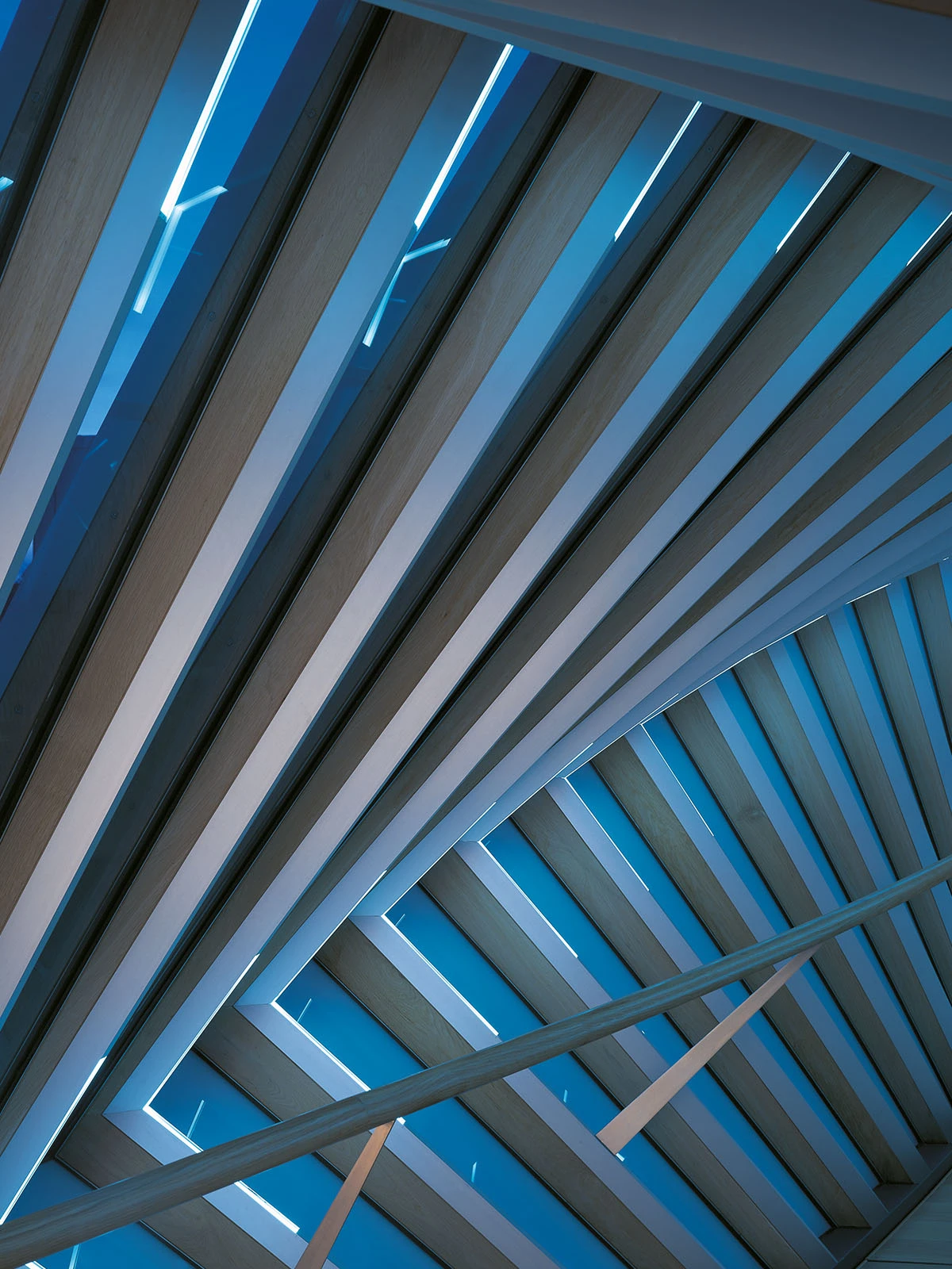 Detail image of the Bridge of Aspiration