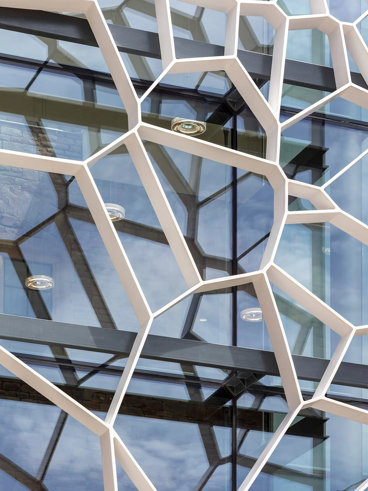 Detail of voronoi pattern