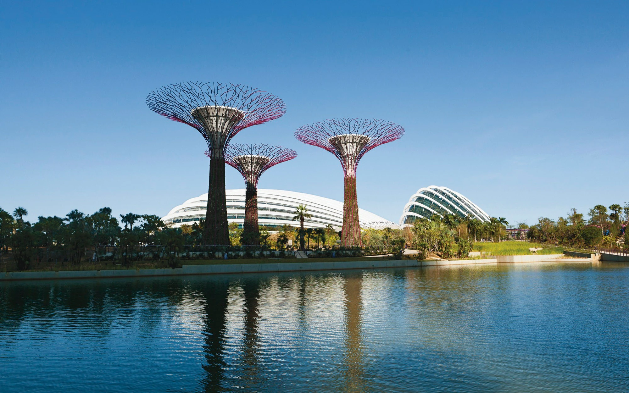 Super Grove Trees at Gardens by the Bay