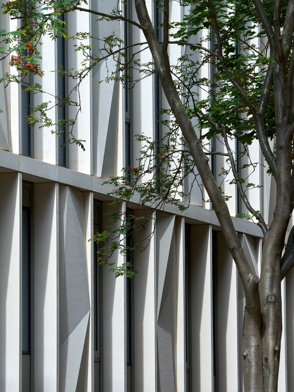 Exterior detail of LSBU
